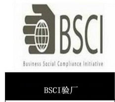 供應(yīng)東莞bsci驗(yàn)廠咨詢(xún)產(chǎn)品大圖 oas企業(yè)管理認(rèn)證咨詢(xún)機(jī)構(gòu)