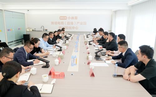 吳呈錢(qián)專(zhuān)題調(diào)研跨境電商高質(zhì)量發(fā)展工作